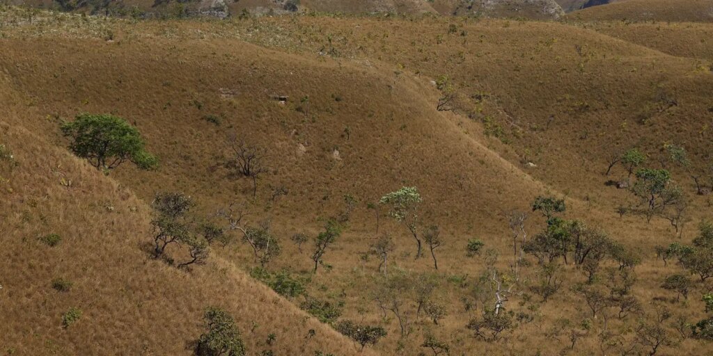 mapbiomas:-fragmentacao-de-areas-naturais-quase-triplicou-em-40-anos