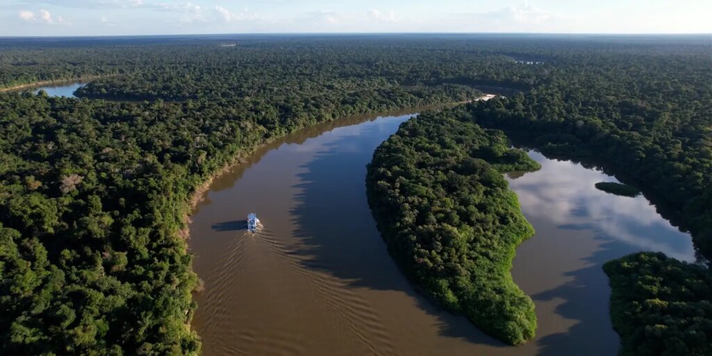 reino-unido-se-torna-o-segundo-maior-doador-do-fundo-amazonia