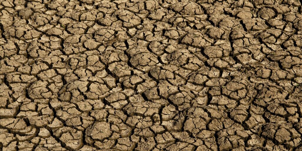 el nino:-entenda-o-fenomeno-que-intensifica-os-fenomenos-climaticos