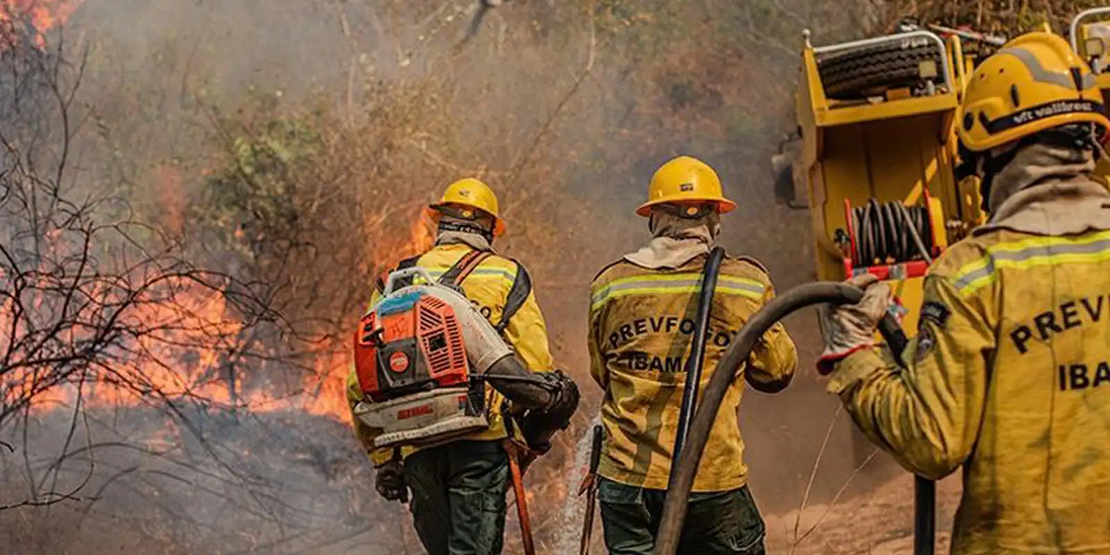 amazonas-teve-quatro-vezes-mais-focos-de-incendio-em-outubro-de-2026