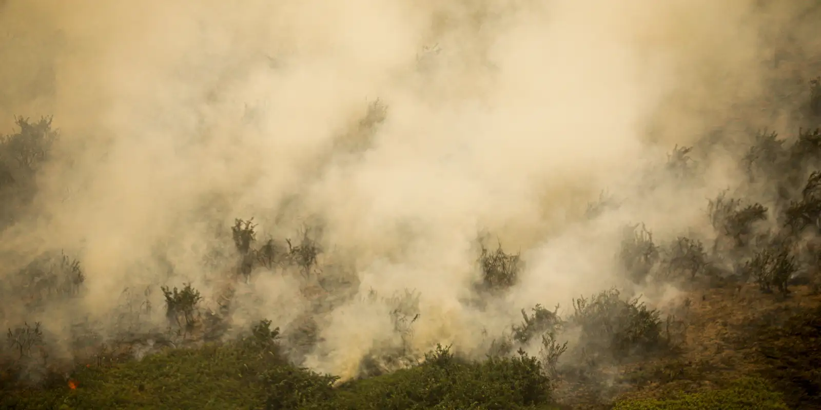 mg:-principal-foco-de-incendio-em-terra-indigena-maxakali-e-controlado