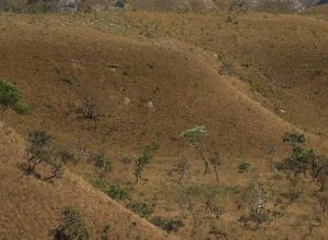 mapbiomas:-fragmentacao-de-areas-naturais-triplicou-em-40-anos-no-pais