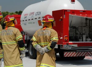 bombeiros-do-rio-ja-fizeram-18-mil-salvamentos-de-animais-em-2026