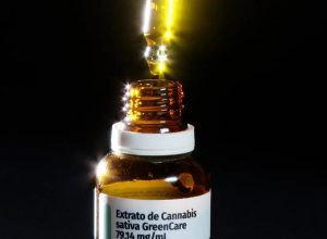 autorizacoes-para-importacao-de-cannabis-aumentam-29%-em-2026