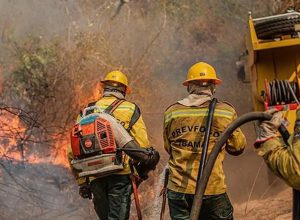 amazonas-teve-quatro-vezes-mais-focos-de-incendio-em-outubro-de-2026