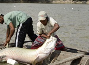 viva-maria-compartilha-experiencia-de-educomunicacao-na-amazonia