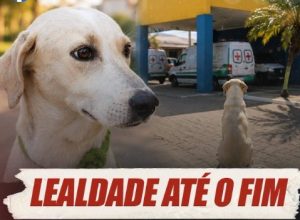 CARAMELO